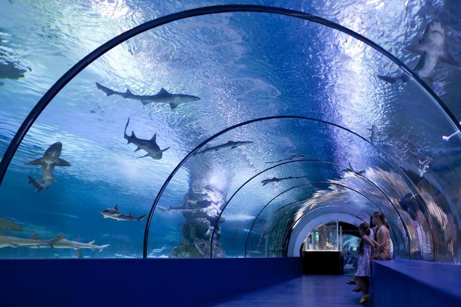 Antalya Aquarium (Akvaryum)